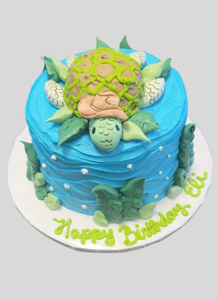 Inviting Turtle Cake