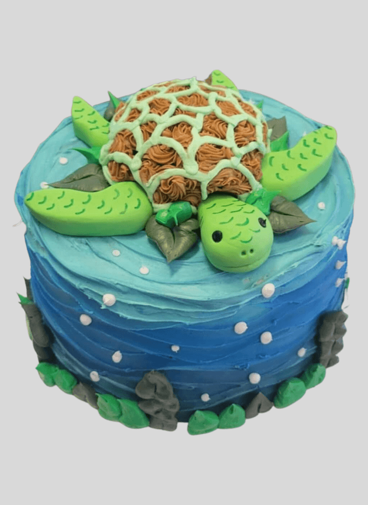 Lovely Turtle Cake Design
