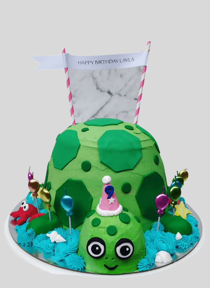 Magnetic Turtle Cake