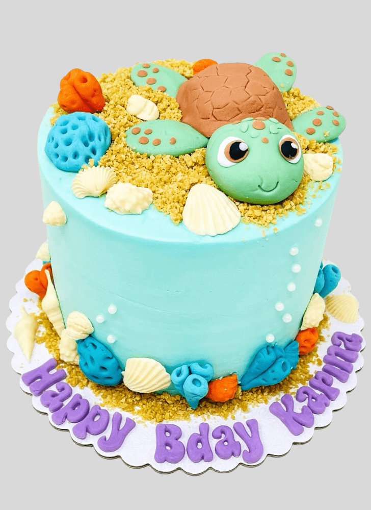 Marvelous Turtle Cake