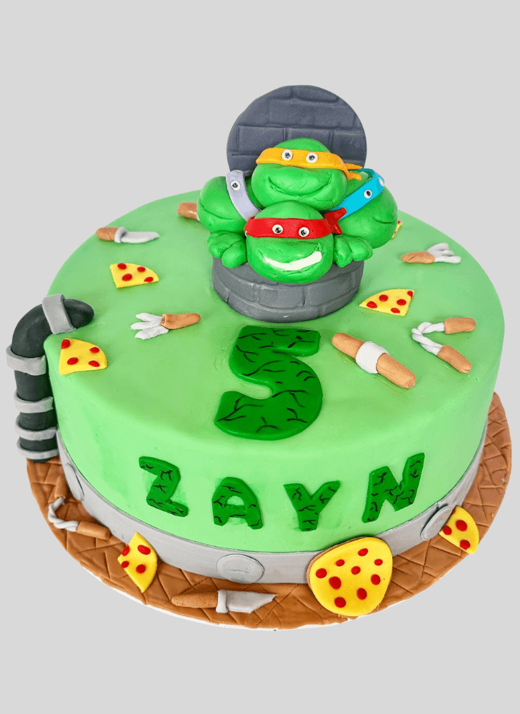 Mesmeric Turtle Cake