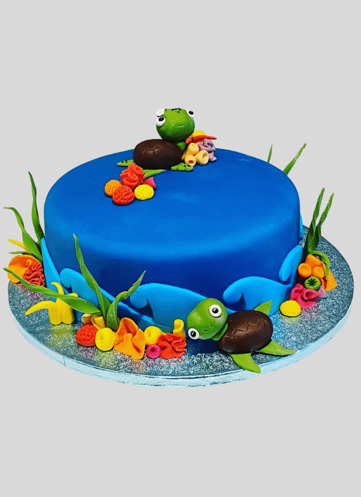 Nice Turtle Cake
