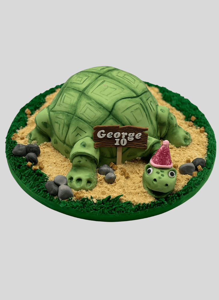 Pleasing Turtle Cake