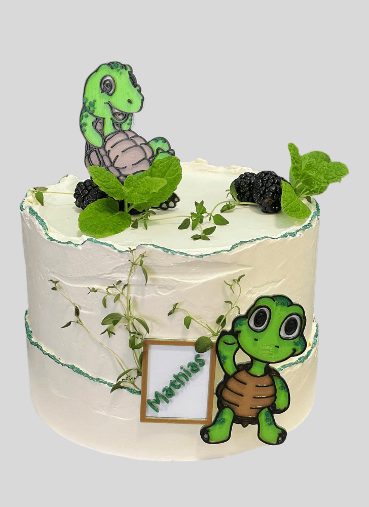 Pretty Turtle Cake