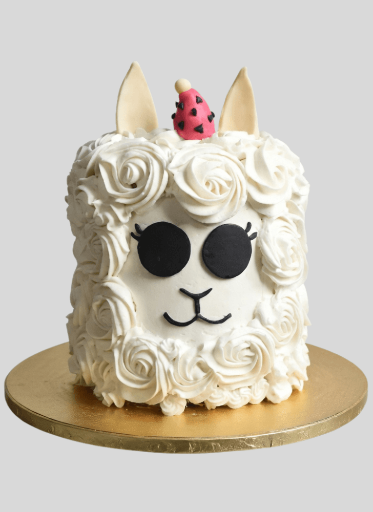 Bewitching Alpaca Cake