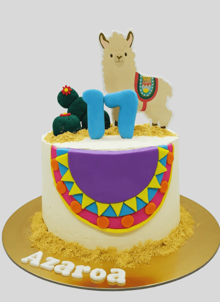 Comely Alpaca Cake