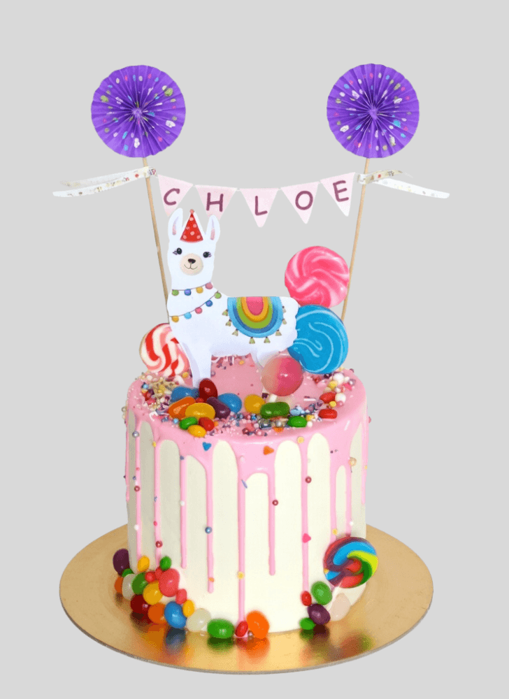 Delicate Alpaca Cake