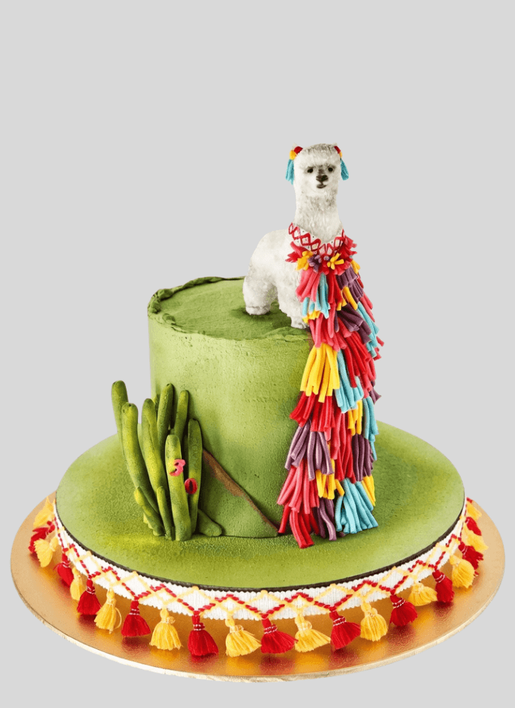 Divine Alpaca Cake