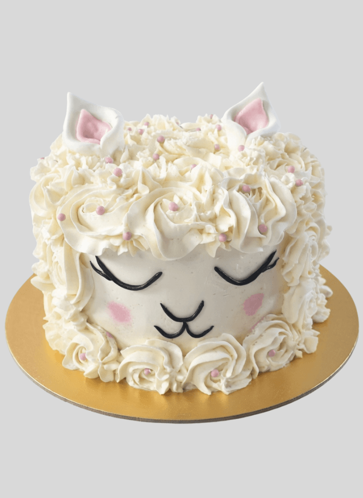 Fair Alpaca Cake