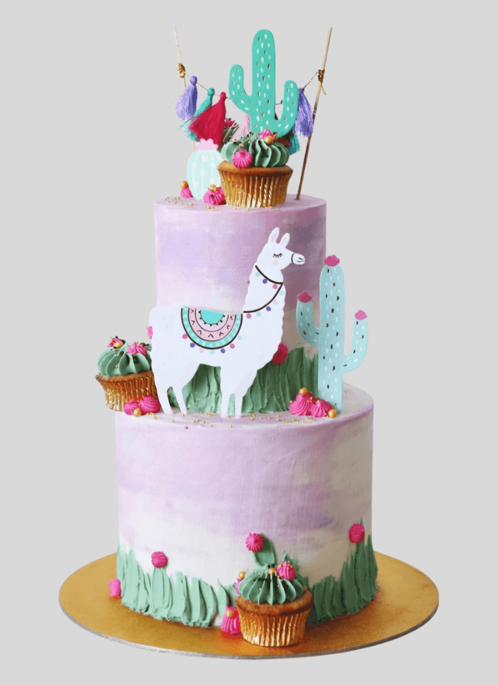 Fetching Alpaca Cake