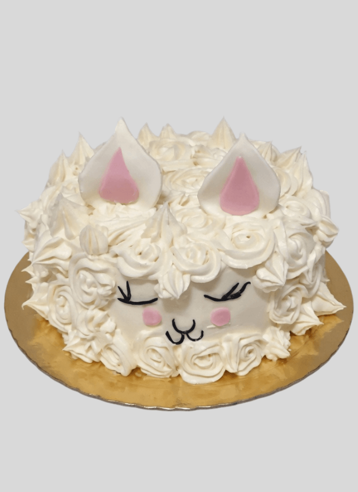 Fine Alpaca Cake
