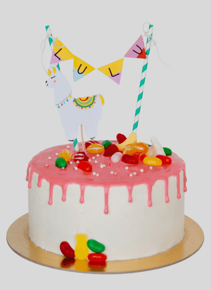 Good Looking Alpaca Cake