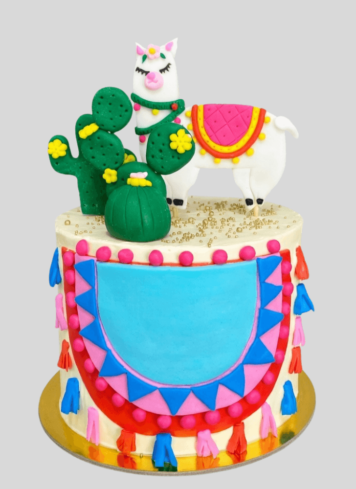 Magnetic Alpaca Cake