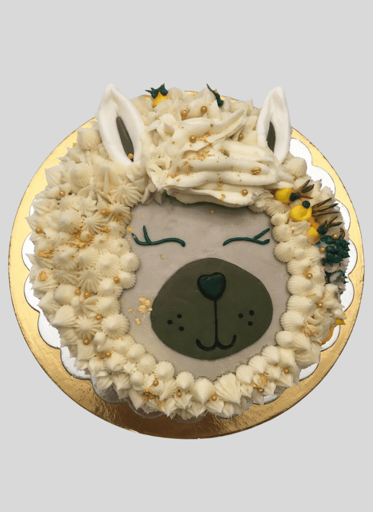Nice Alpaca Cake