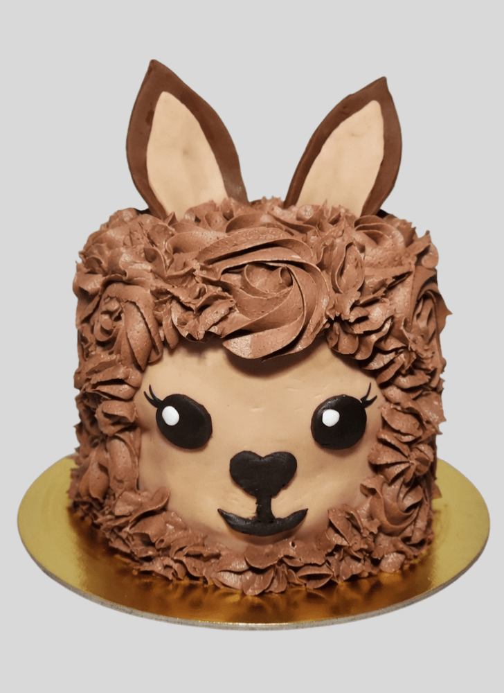 Refined Alpaca Cake