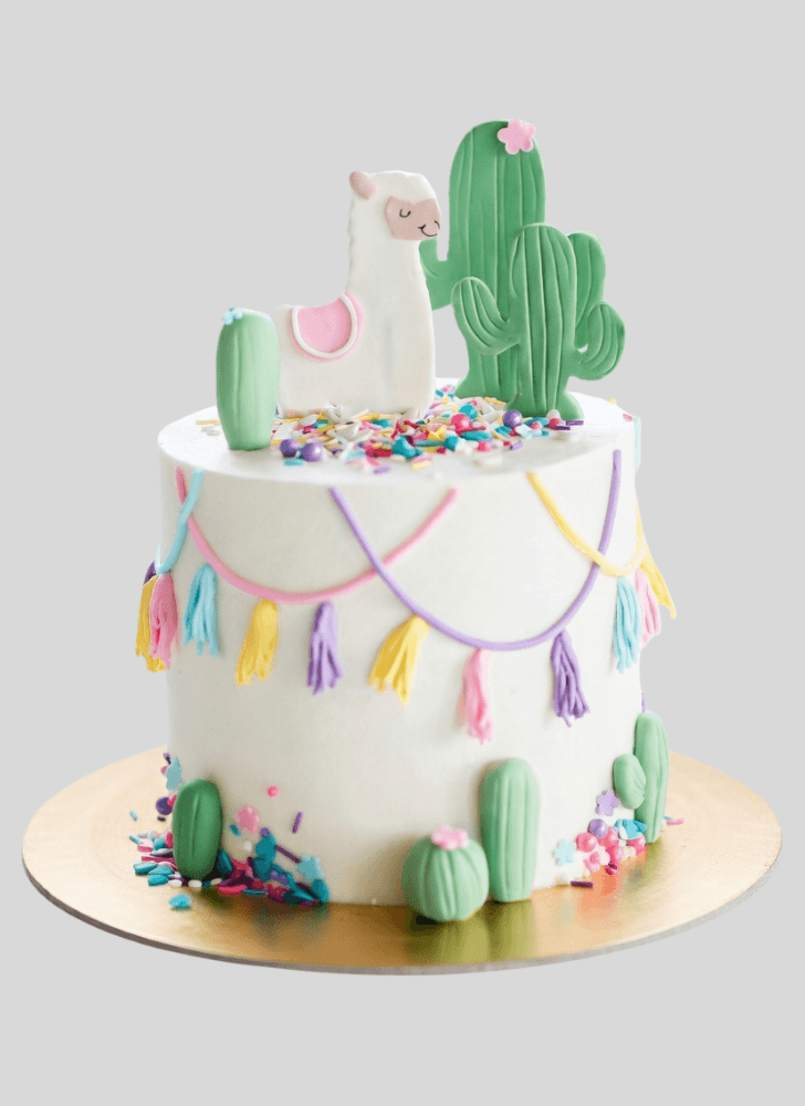 Resplendent Alpaca Cake