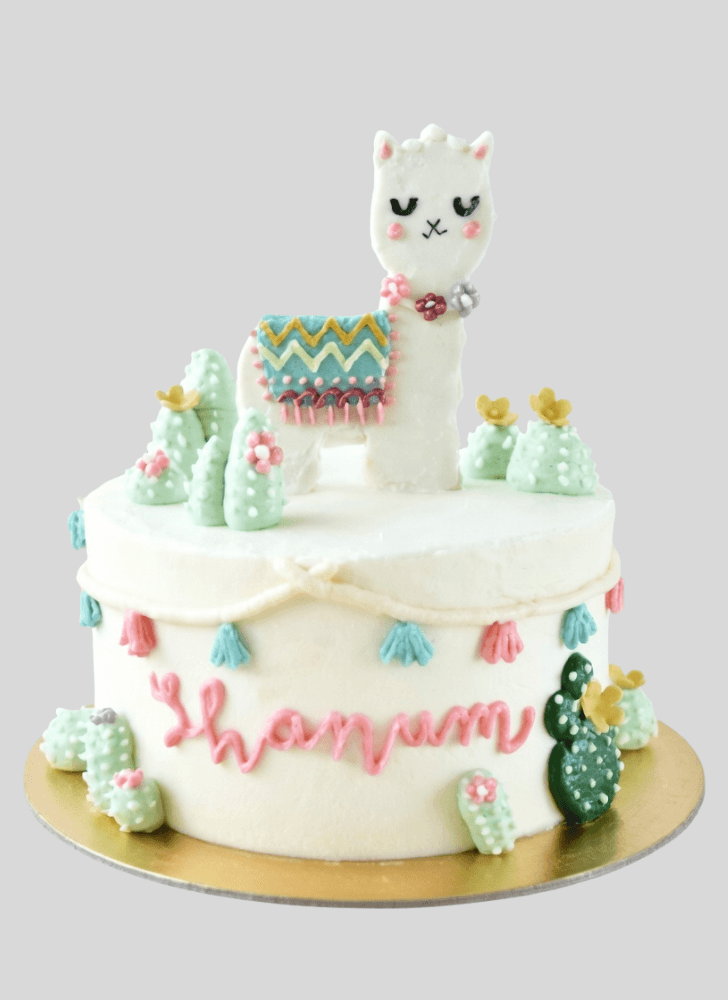 Slightly Alpaca Cake