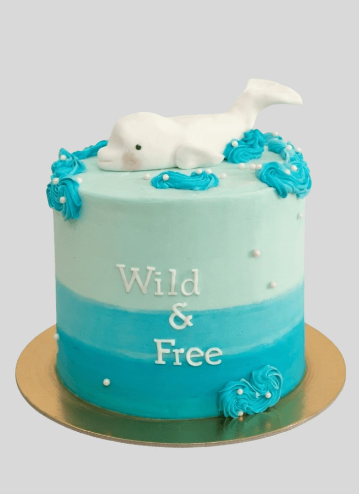 Admirable Beluga Cake Design