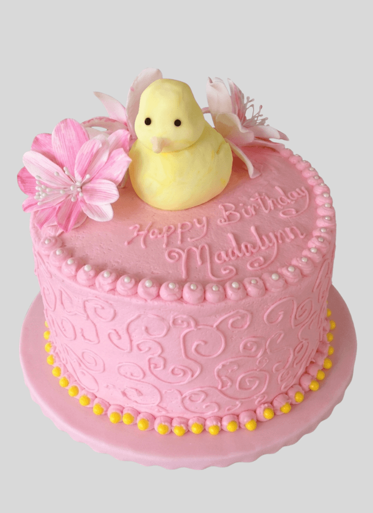 Handsome Duckling Cake