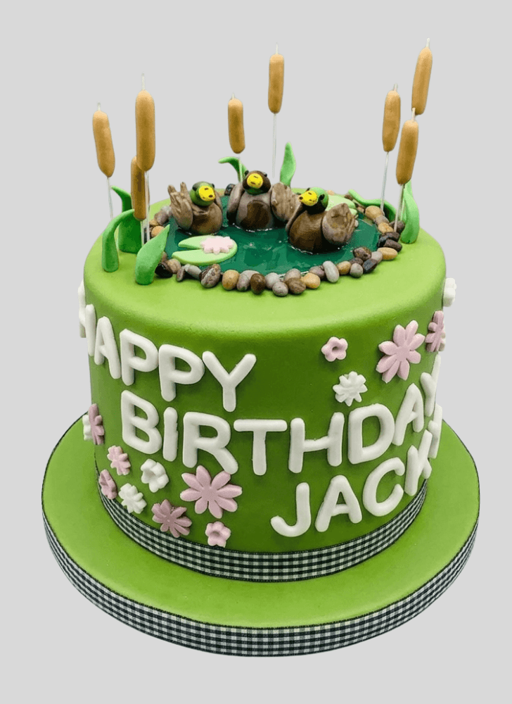Wonderful Duckling Cake Design