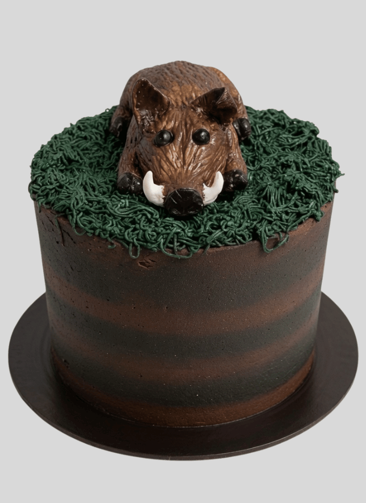 Classy Hog Cake