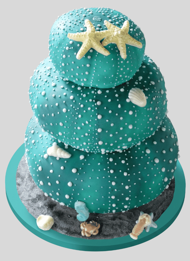 Admirable Sea Urchin Cake Design