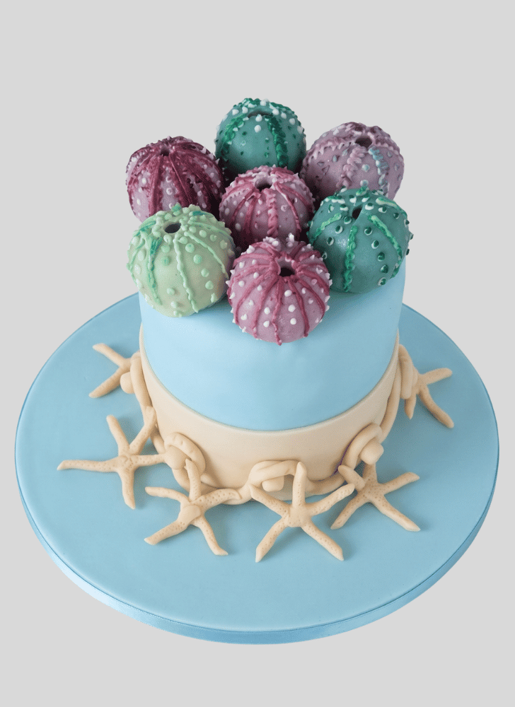 Adorable Sea Urchin Cake