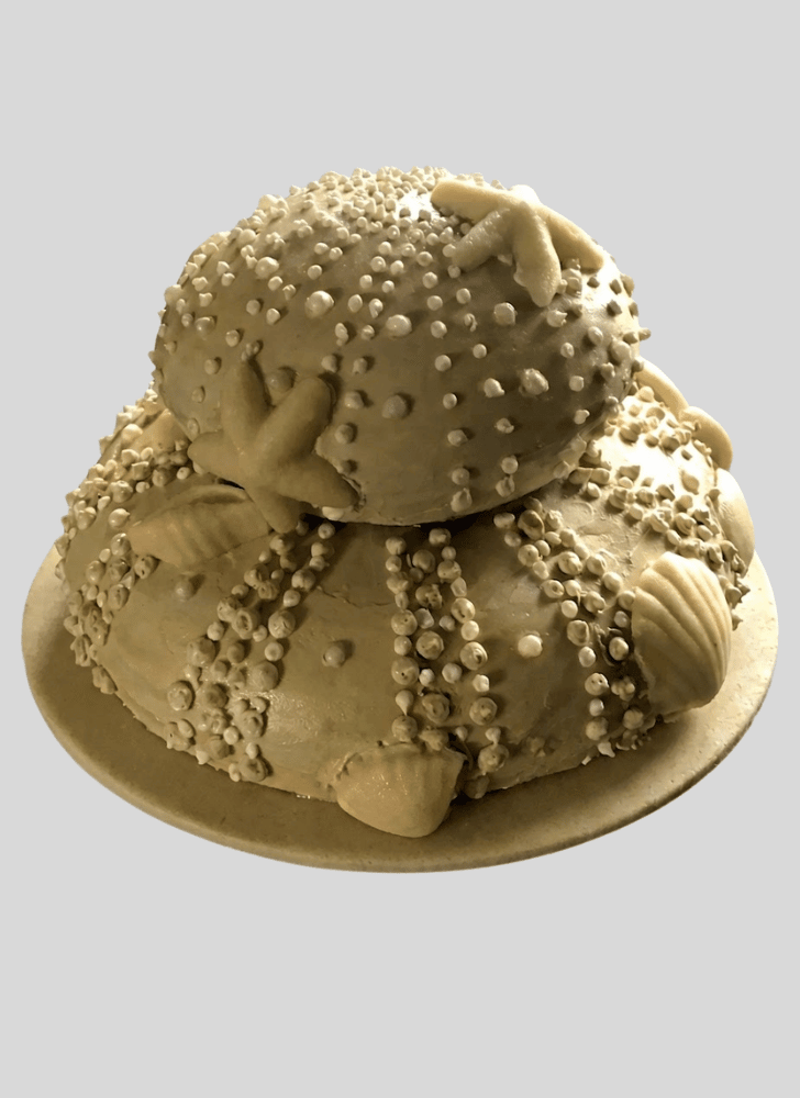 Charming Sea Urchin Cake