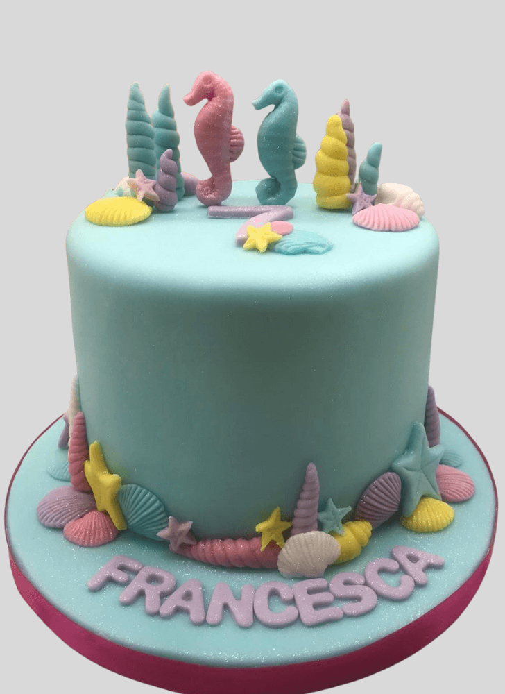 Handsome Shells Cake