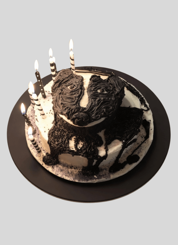 Adorable Skunk Cake