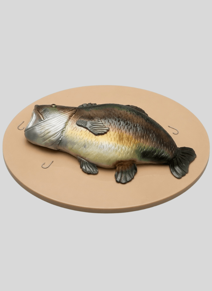 Handsome Trout Cake