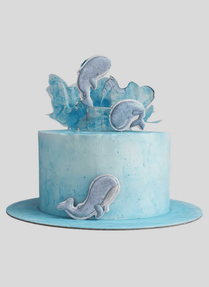 Adorable Whale Cake