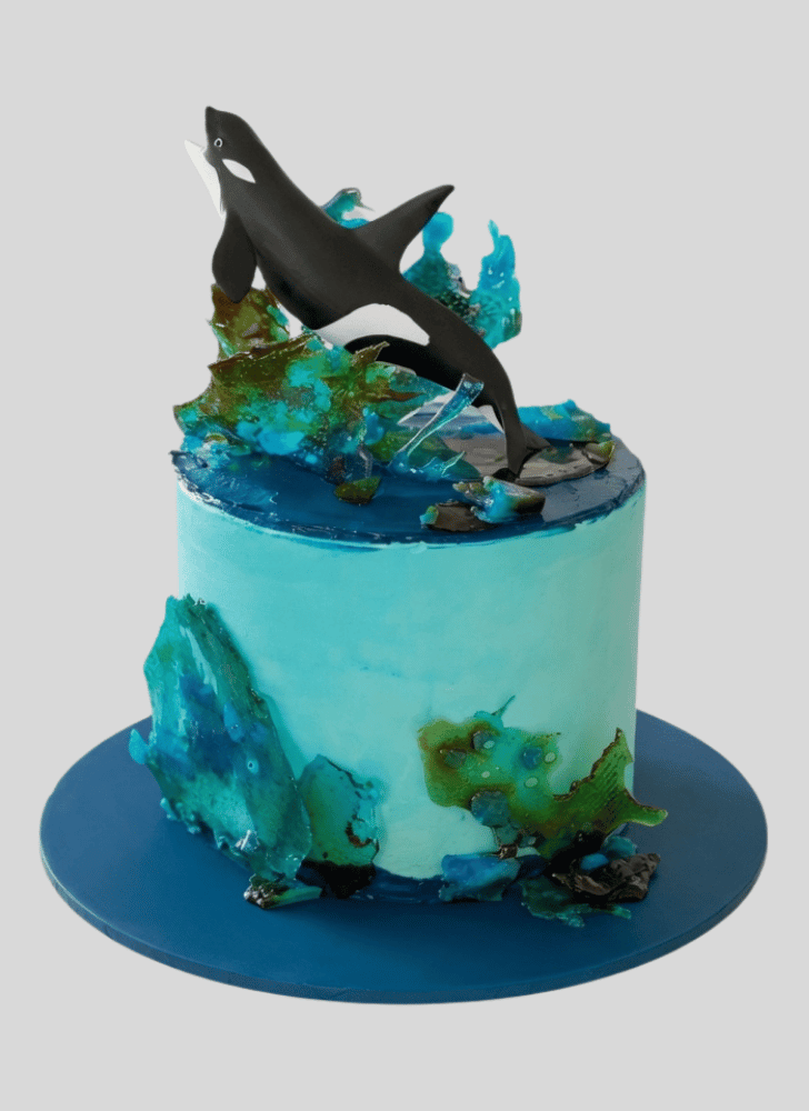 Alluring Whale Cake