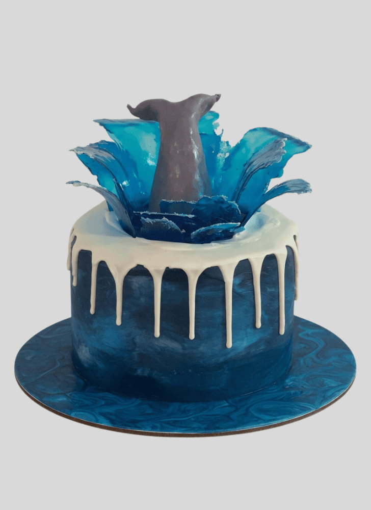 Angelic Whale Cake
