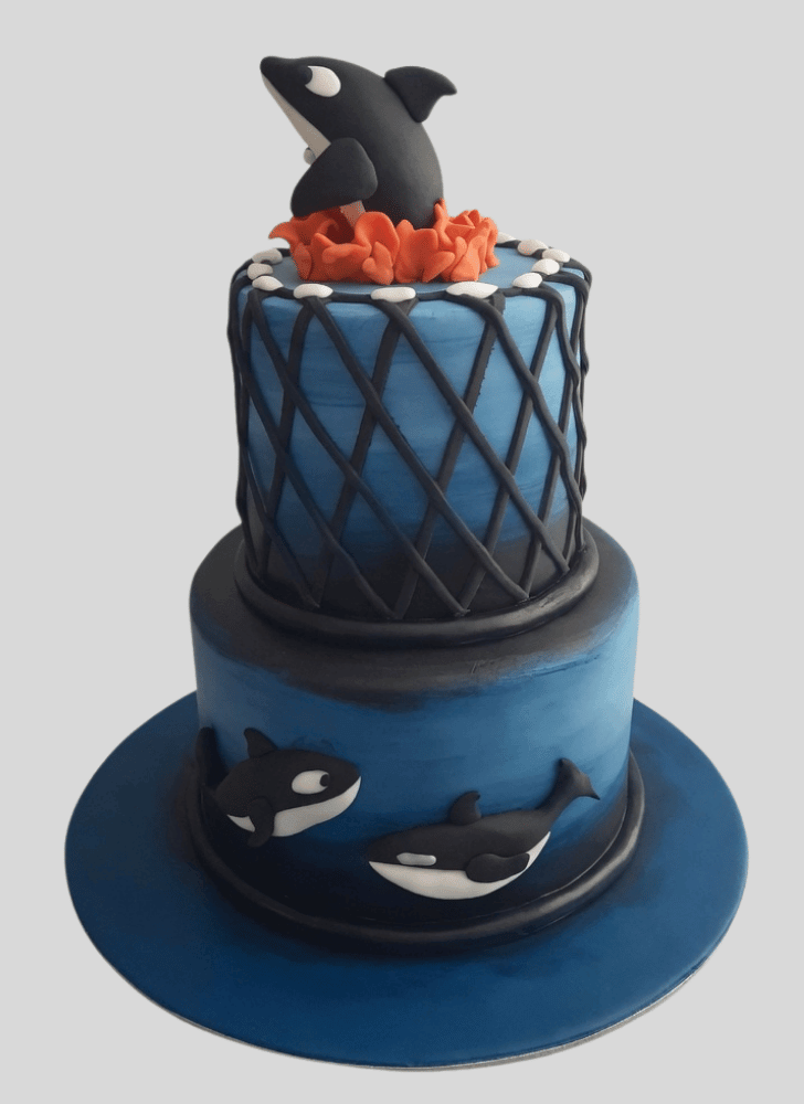 Appealing Whale Cake