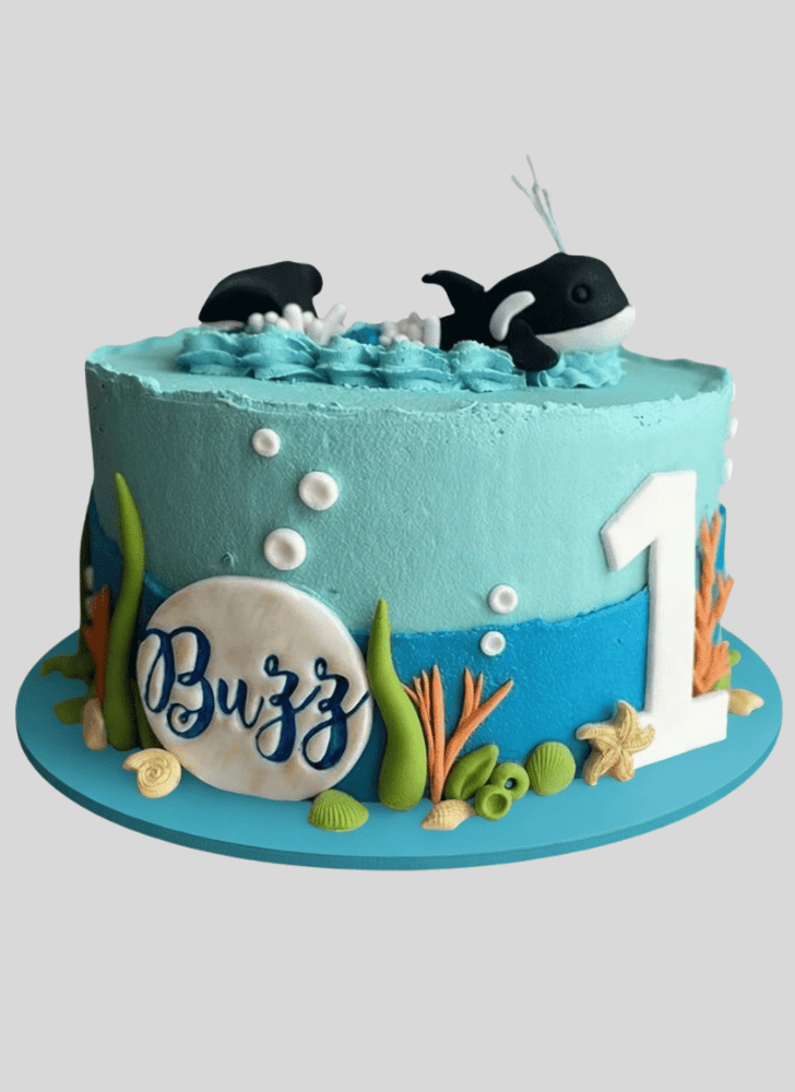 Comely Whale Cake