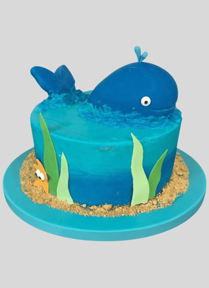 Excellent Whale Cake