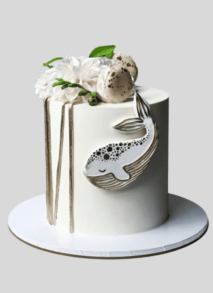 Fetching Whale Cake