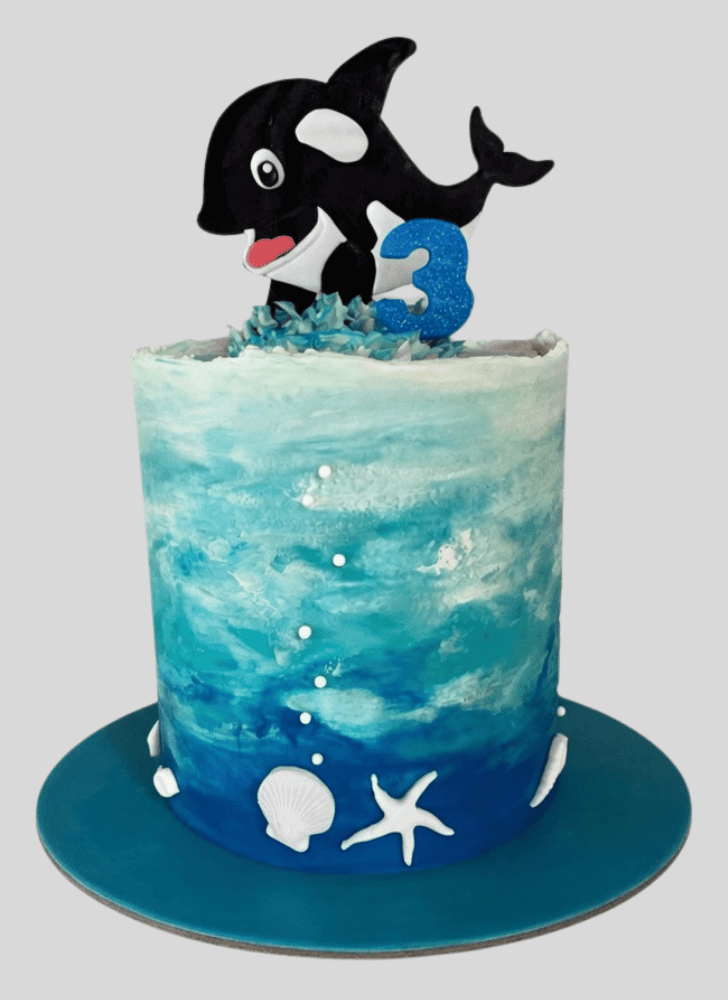 Fine Whale Cake