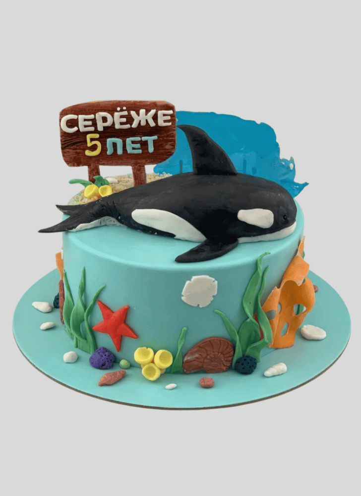 Lovely Whale Cake Design