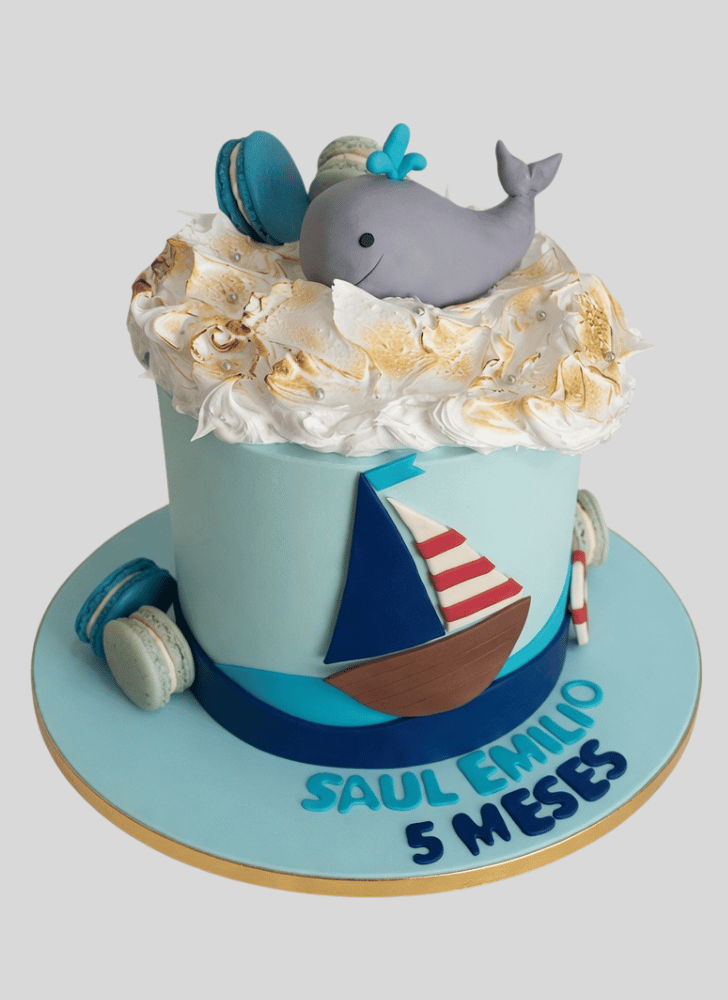 Magnetic Whale Cake