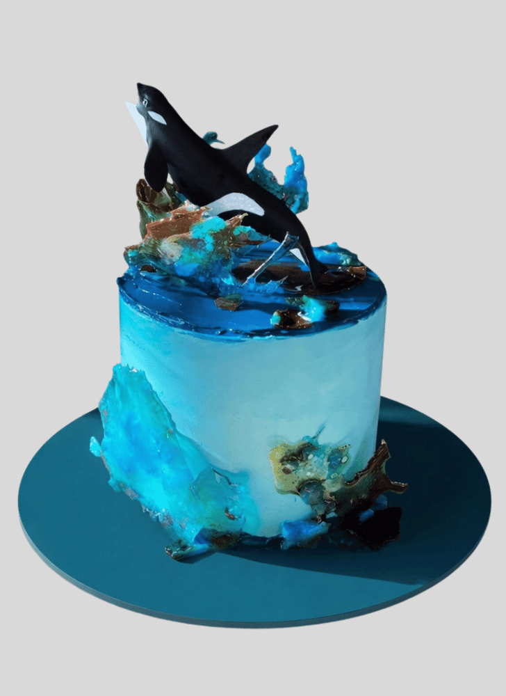 Nice Whale Cake