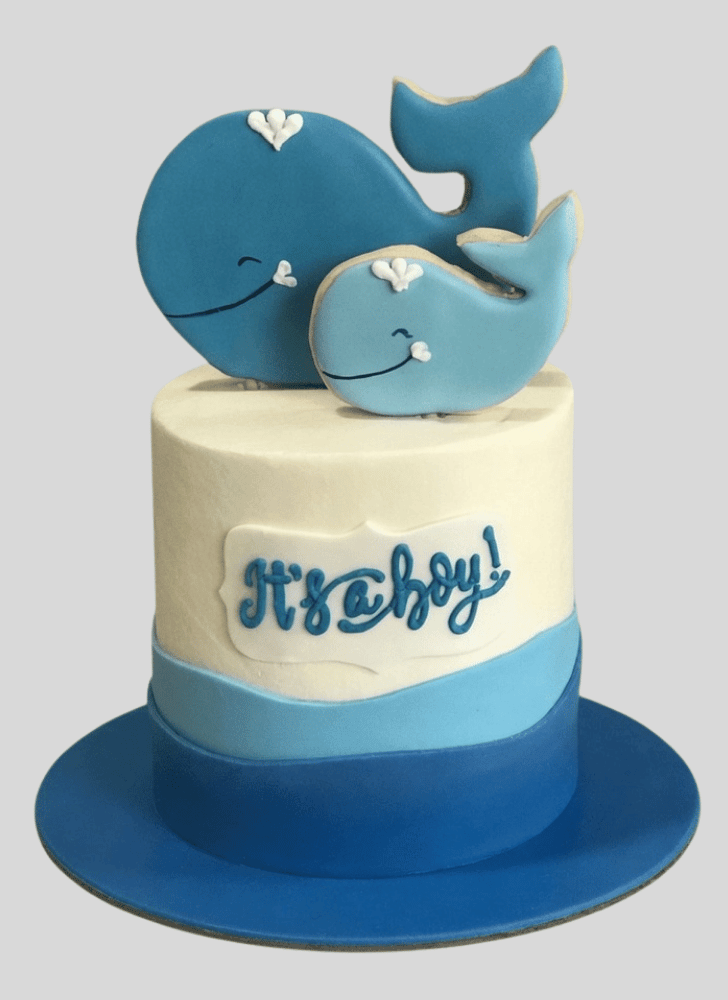 RadiWhale Whale Cake