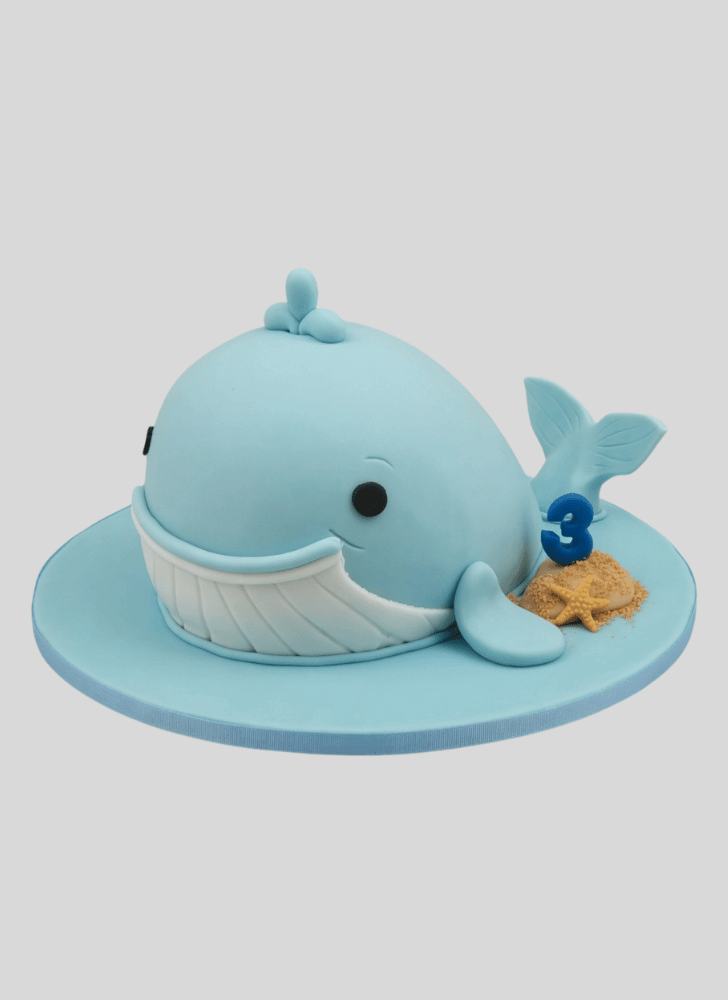 Resplendent Whale Cake