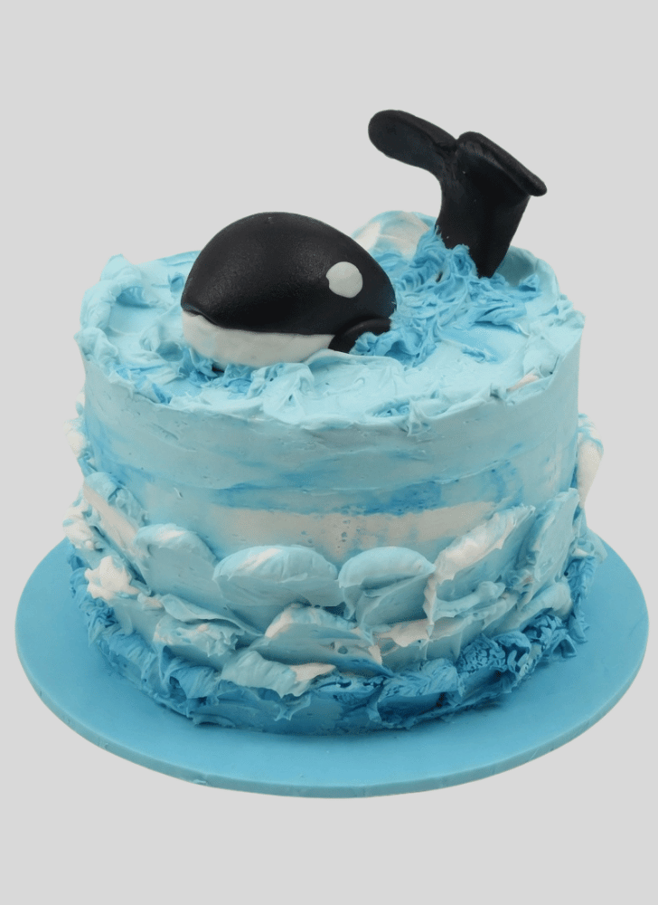 Stunning Whale Cake
