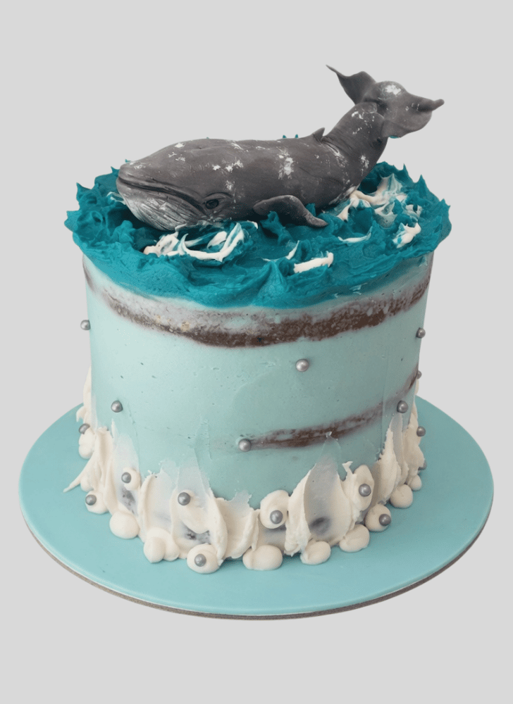 Superb Whale Cake
