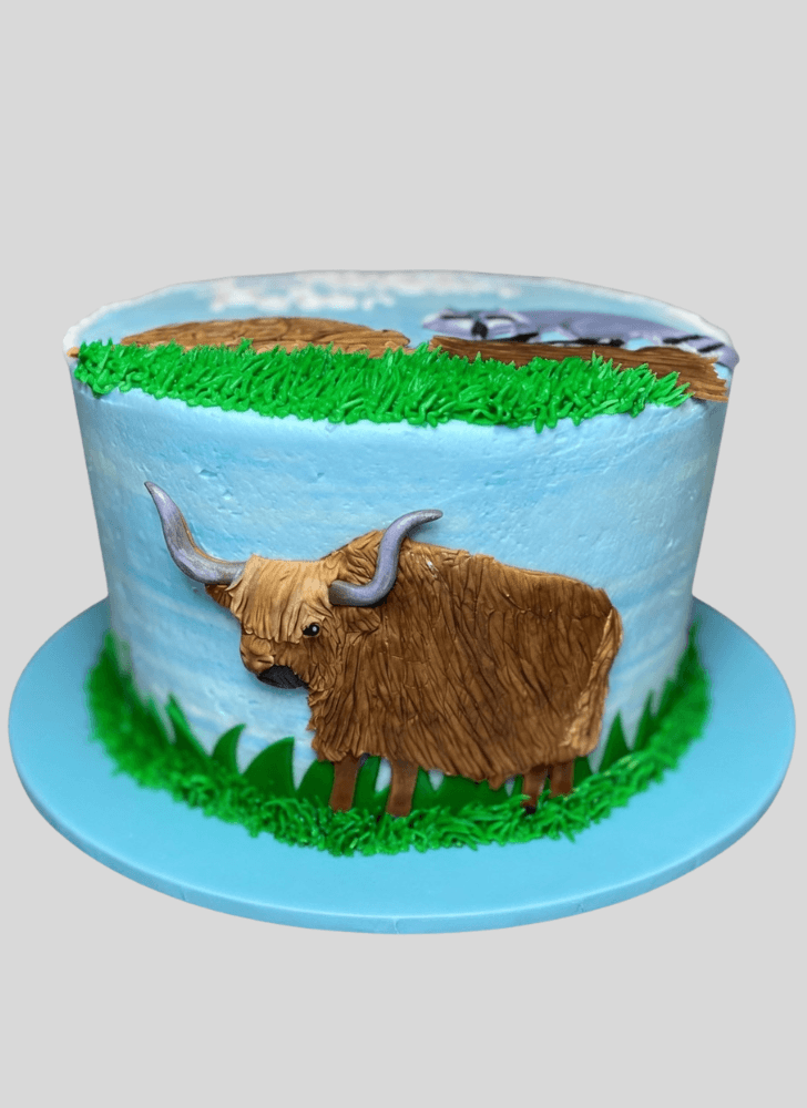 Yak Face Cake