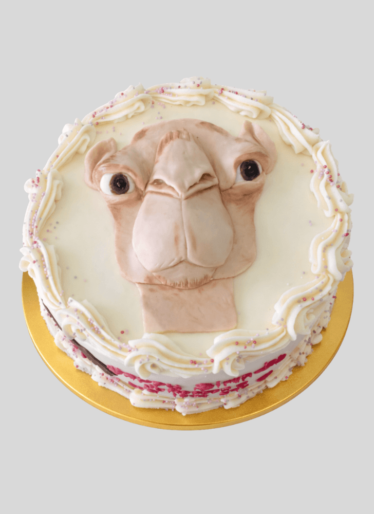 Gorgeous Camel Cake