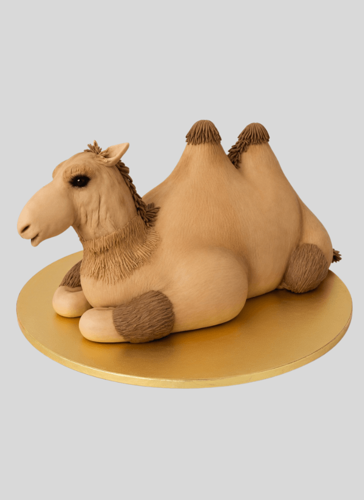 Inviting Camel Cake