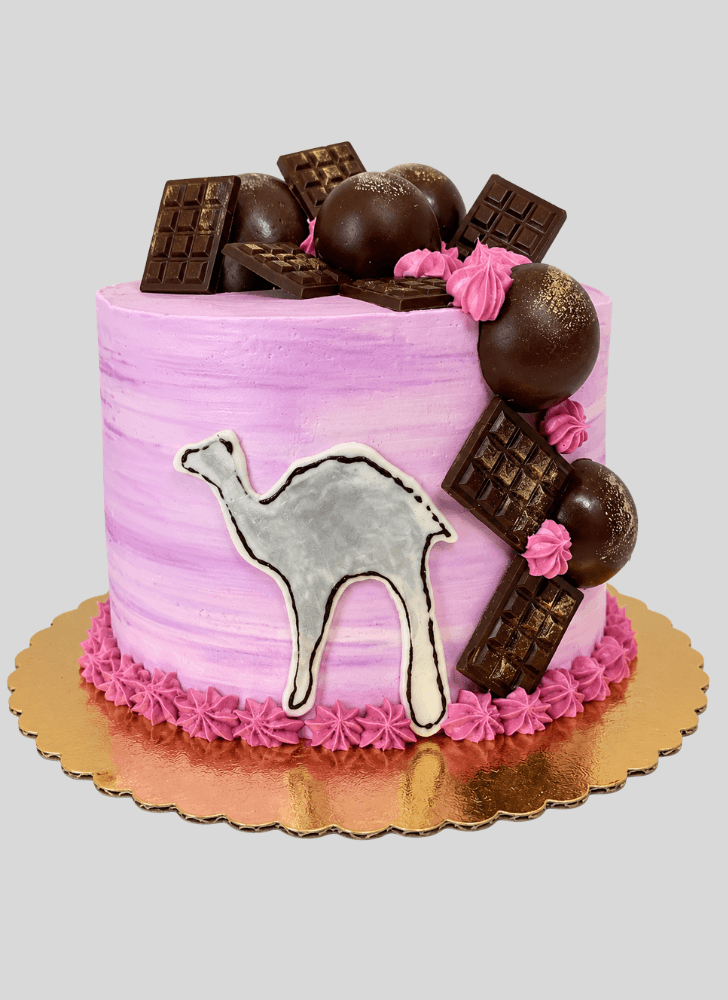 Magnificent Camel Cake